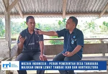 Pemerintah Desa Tanarara Perkuat Ekonomi Melalui Tambak Ikan