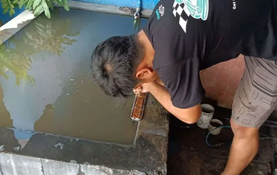 Mobil Migrasi ke Coolant Wajib Korok Dulu?