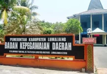 Seleksi JPT Pratama Disdikbud Lumajang Diperpanjang 