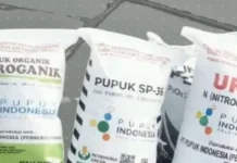 Perikanan Gorontalo Peroleh 9.308 Ton Pupuk Bersubsidi