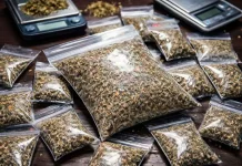 Edarkan Tembakau Sintetis Dua Pelajar SMK Diamankan 