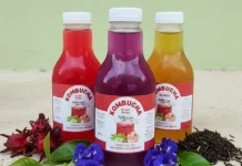 Kombucha, Minuman Fermentasi Teh Kaya Manfaat