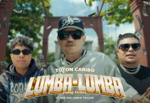 Lirik Lagu "Lumba Lumba" - Toton Caribo
