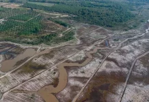 Musibah, Peringatan Kerusakan Lingkungan