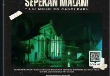 Festival Pabrik Gula, Ramaikan HUT Sidoarjo ke-167