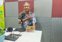 Daun Kayu Manis dengan Segudang Manfaatnya