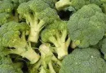 Manfaat Brokoli Hijau untuk Kesehatan