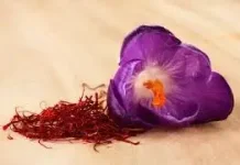 Manfaat Saffron, Menurunkan BB hingga Meringankan Nyeri Haid.