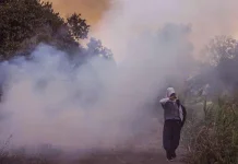 Asap Karhutla Ancam Kesehatan Anak dan Lansia