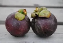 Keajaiban Buah Manggis: Dari Antioksidan Hingga Kesehatan Kulit