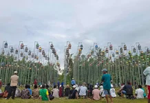 Liga Perkutut di Kabupaten Sumenep