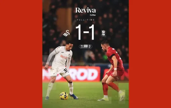 Swansea Imbang Kontra Birmingham City