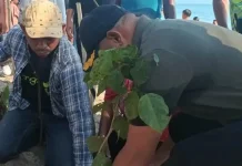 BRIN-Private Sector Develop Malapari to Strengthen National Energy Security