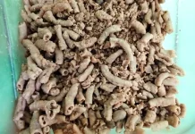 Keripik Usus Ayam Populer, Waspadai Risiko Kolesterol