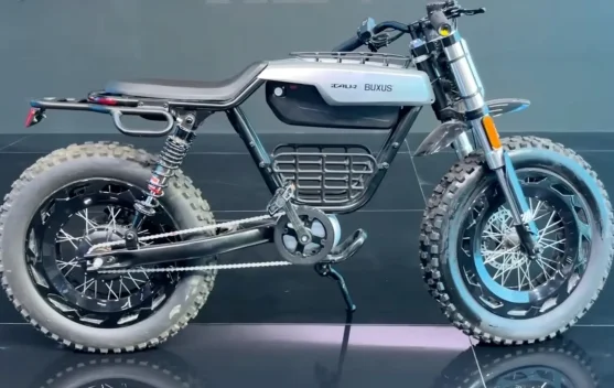 iCar Buxus, Sepeda Listrik Bergaya Off Road