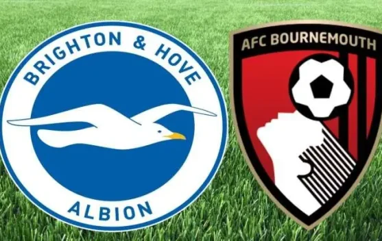 Brighton Jamu Bournemouth di Liga Inggris, Selasa Dini Hari