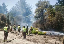 Kebakaran Hutan Cile, Presiden Tetapkan Status Bencana