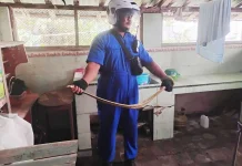 Evakuasi Ular, Misi Terbanyak Damkar Rembang Sepanjang 2025