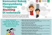 Rokok Penyebab Tingginya Angka Stunting Di Tarakan
