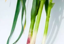 Mengenal Manfaat Batang Bawang 